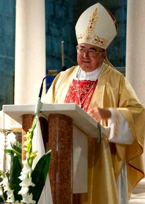 kardinal Vinko Puljić